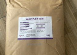Betaglucan Yeast Cell Wall, Vách tế bào nấm men, Saccharomyces cerevisiae